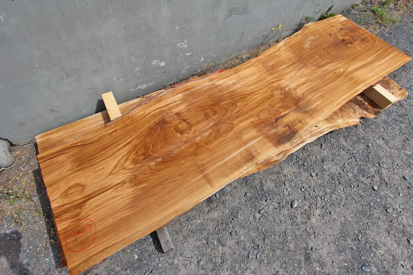 monolith-eiche-odenwald-ewald-v1