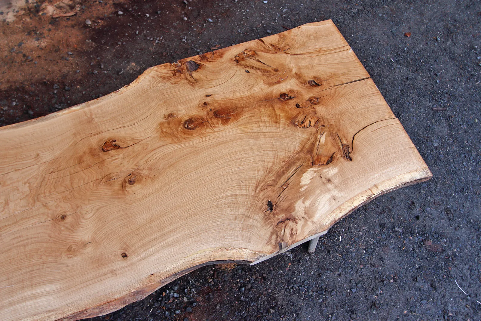 monolith-eiche_frankreich-francois-v2