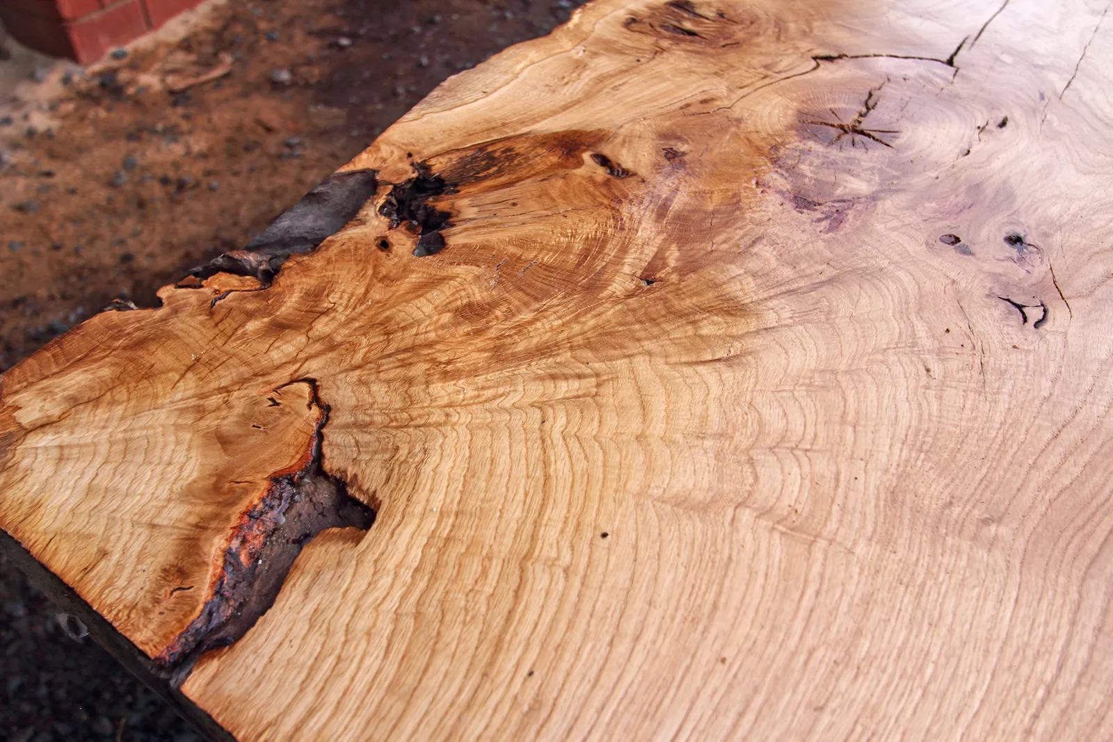 monolith-eiche_frankreich-francois-v3